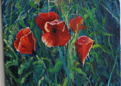 Blühender Mohn