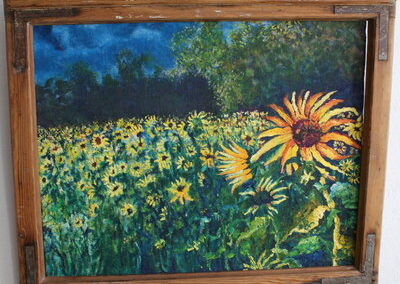 Sonnenblumenfeld