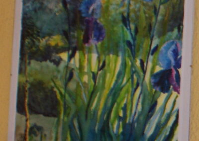 Iris II (Aquarell)