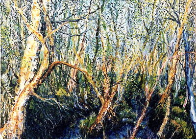 Birkengrund
