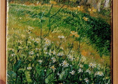 Gänseblümchen III