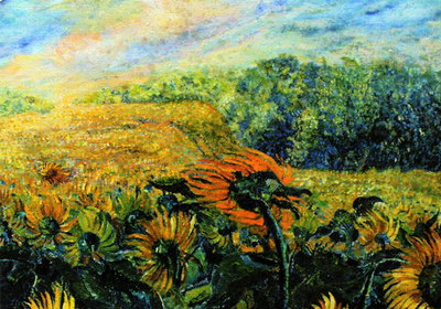Sonnenblumen I