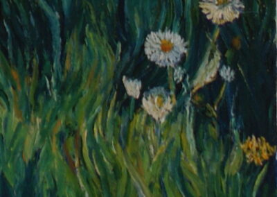Gänseblümchen II