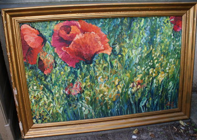 Wilder Mohn im Hafer