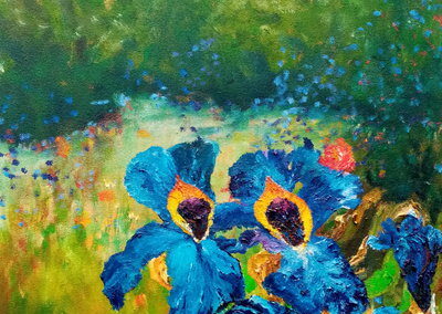 Iris